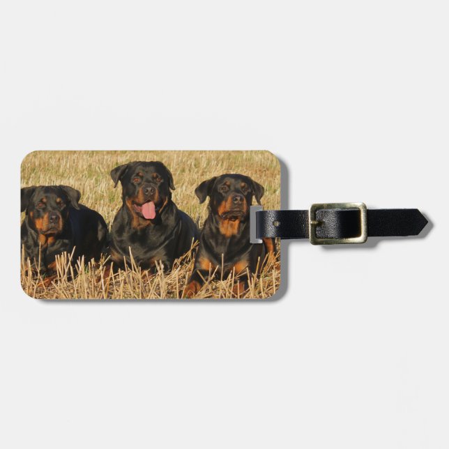 Three Rottweiler Dogs - Pack of Rotties Luggage Tag (Front Horizontal)