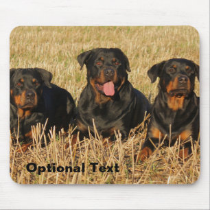 Three Rottweiler Dogs - Pack of Rotties Mouse Pad
