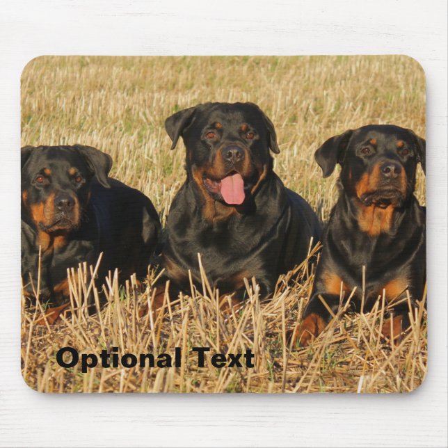 Three Rottweiler Dogs - Pack of Rotties Mouse Pad (Front)