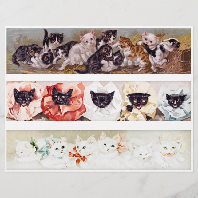 Three Rows of Victorian Era Kittens (Front)