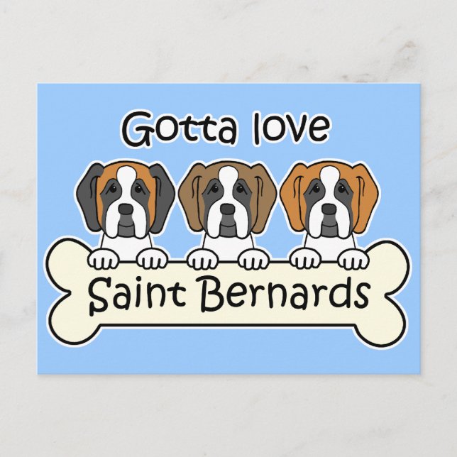 Three Saint Bernards Postcard (Front)