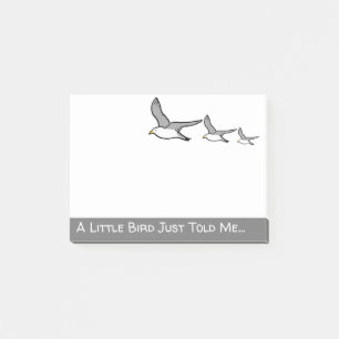 Three Seagull Flying in a Row. Post-it Notes