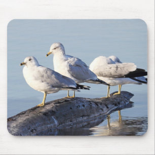Three Seagulls on a Log Mouse Pad