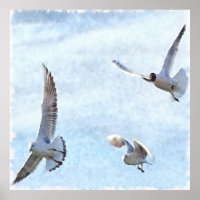 Three Seagulls Watercolor