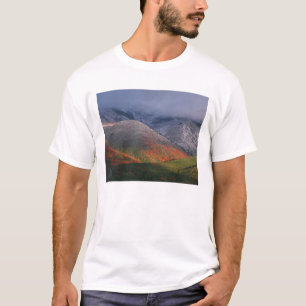 Three seasons of foliage, red maples and fall T-Shirt