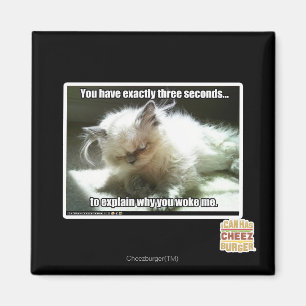 Three seconds magnet