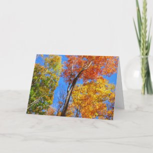 Three Shades of Colourful Fall Maple Trees Card