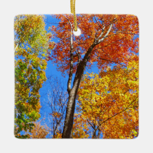 Three Shades of Colourful Fall Maple Trees Ceramic Ornament