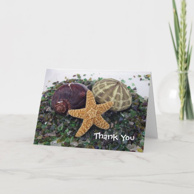 three shells, Thank You Card (Front)