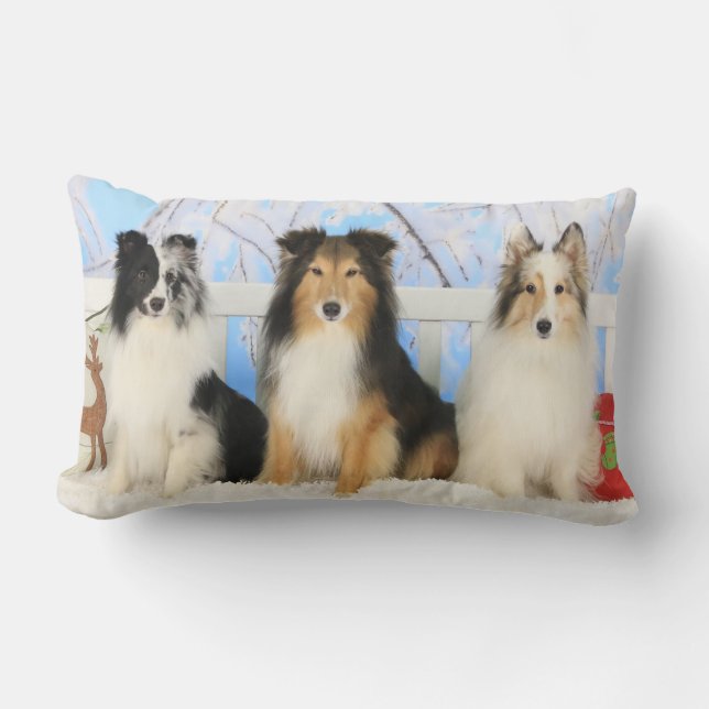 Three Sheltie Colours Christmas Lumbar Cushion (Front)