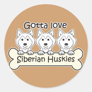 Three Siberian Huskies Classic Round Sticker