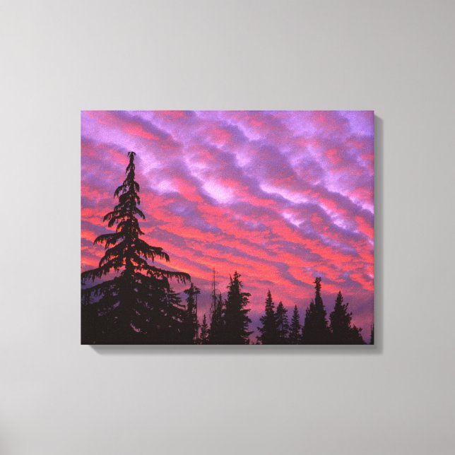 Three Sisters Wilderness, Oregon Canvas Print (Front)