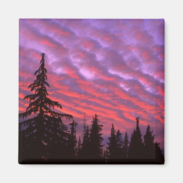 Three Sisters Wilderness, Oregon Magnet (Front)