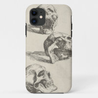Three Skulls