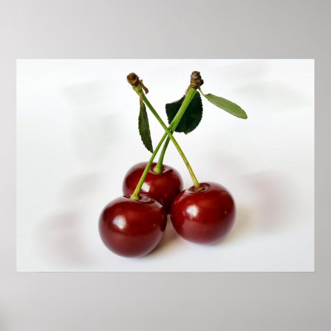 three sour cherries poster (Front)