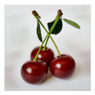 three sour cherries poster