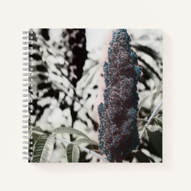 Three Spiral Notebook (Front)