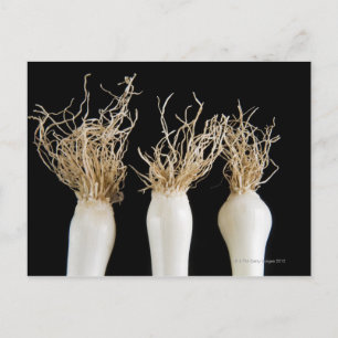 Three spring onions postcard