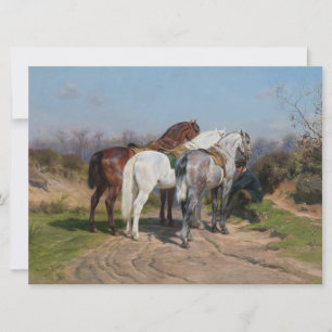 Three Stallion Horses (by Rosa Bonheur) Card