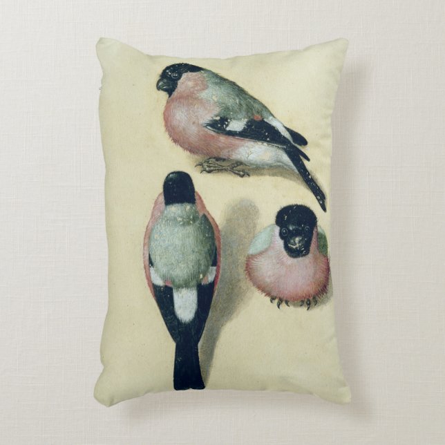 Three studies of a bullfinch decorative cushion (Front(Vertical))