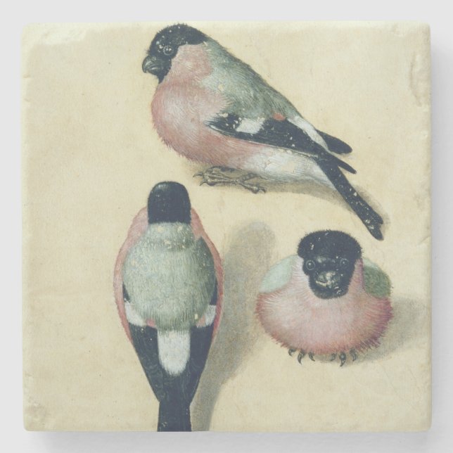 Three studies of a bullfinch stone coaster (Front)