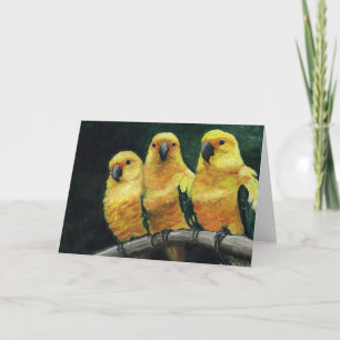 "Three Sun Conures" Bird Art  Greeting Card