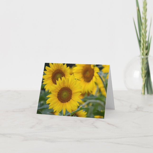 Three Sunflowers Folded Thank You Card (Front)