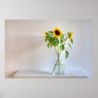 Three Sunflowers Poster