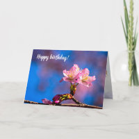 Three Sunlit Sakura Flowers On A Sunny Spring Day