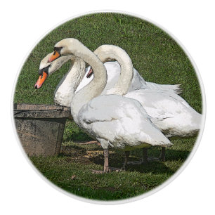 THREE SWANS/PHOTOG.WITH DIGITAL EFFECTS CERAMIC KNOB
