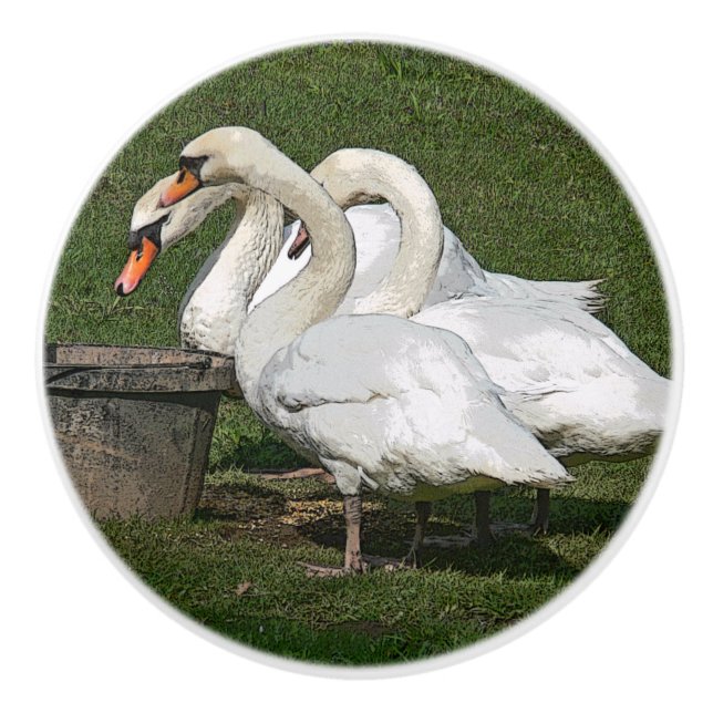 THREE SWANS/PHOTOG.WITH DIGITAL EFFECTS CERAMIC KNOB (Front)