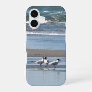 Three Terns on a Beach iPhone 16 Case