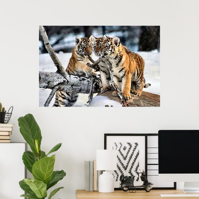 Three Tiger Cubs at Play Poster (Home Office)