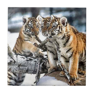 Three Tiger Cubs At Play Tile