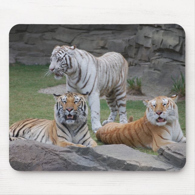 Three Tigers Mouse Pad (Front)