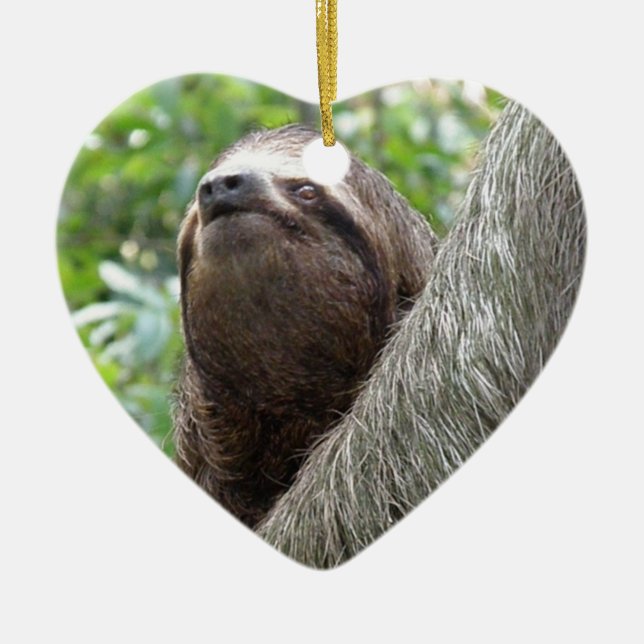 Three Toed  Sloth Ornament (Front)