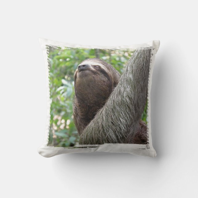 Three Toed Sloth Pillow (Front)