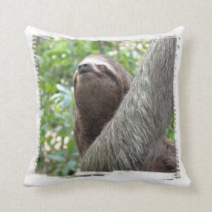 Three Toed Sloth Pillow