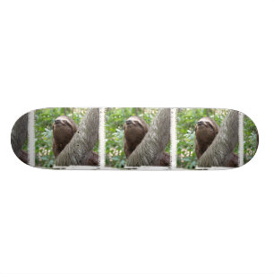 Three Toed Sloth Skateboard