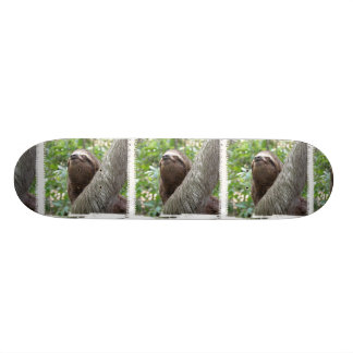 Three Toed  Sloth Skateboard