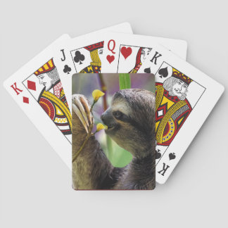 Three-Toed Tree Sloth Playing Cards