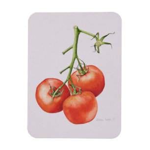 Three Tomatoes on the Vine 1997 Magnet