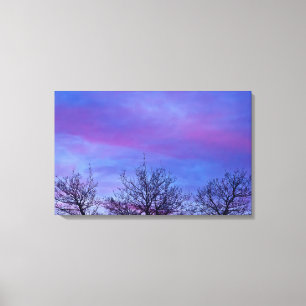 Three Tree Tops Canvas Print