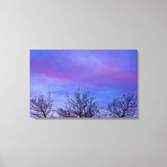 Three Tree Tops Canvas Print (Front)