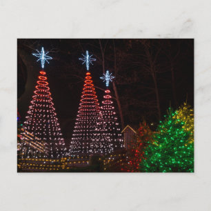 Three Trees At Midtown Postcard