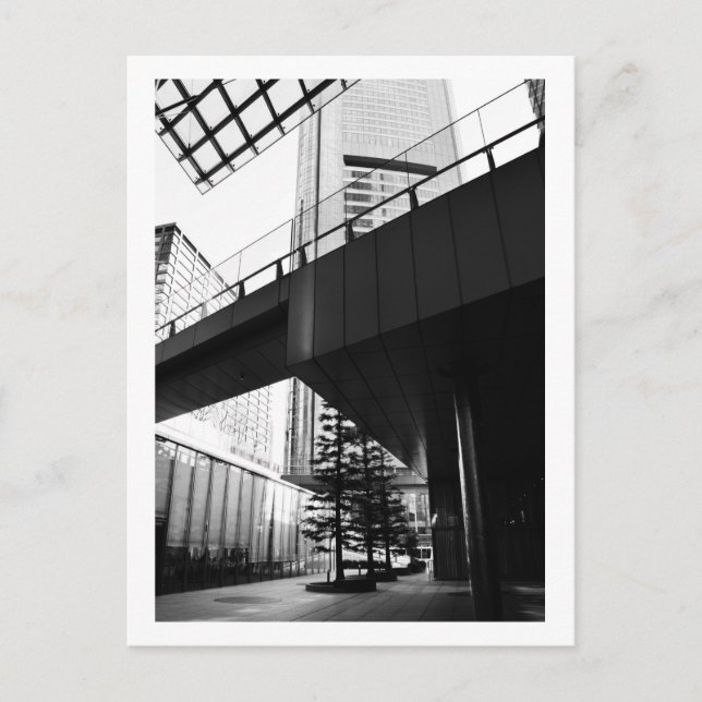 Three Trees: Tokyo Postcard (Front)