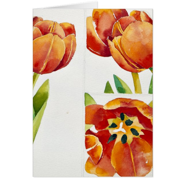 Three tulip studies in a sure 2013 (Front)