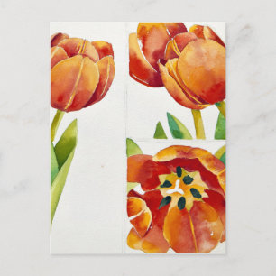 Three tulip studies in a sure 2013 postcard