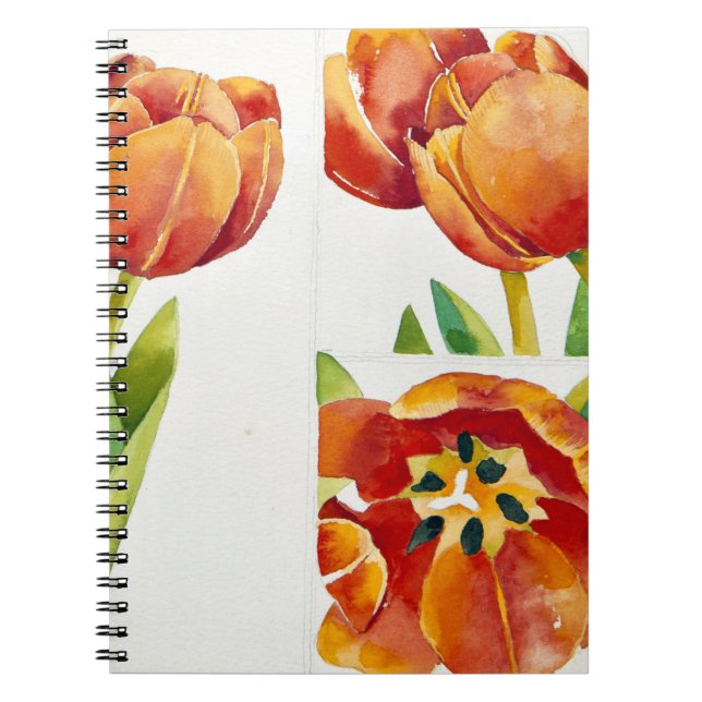 Three tulip studies in a sure 2013 spiral notebook (Front)