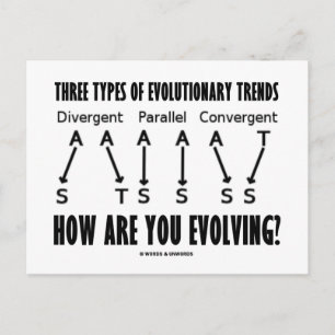 Three Types Of Evolutionary Trends (Evolution) Postcard